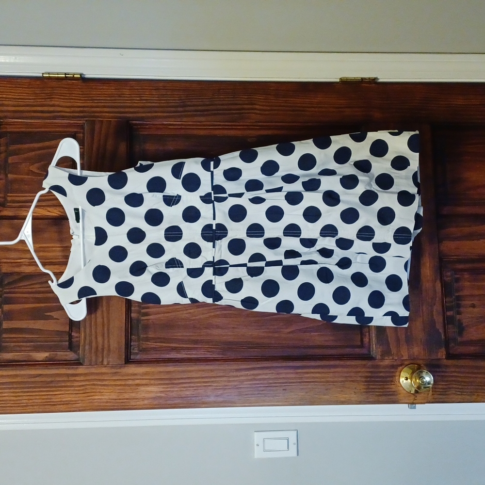 Polka Dot JCrew Dress